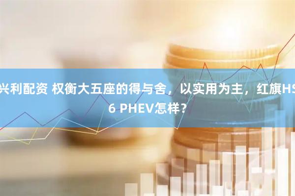 兴利配资 权衡大五座的得与舍，以实用为主，红旗HS6 PHEV怎样？