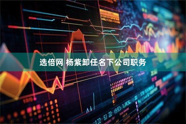 选倍网 杨紫卸任名下公司职务